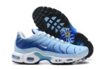 Nike Air max Tn