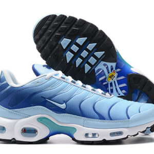Nike Air max Tn