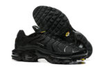 Nike Air max Tn
