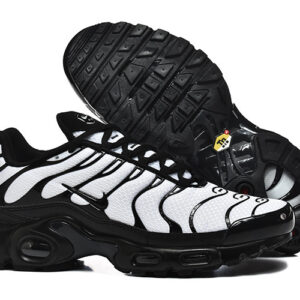 Nike Air max Tn