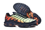 Nike Air max Tn