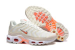 Nike Air max Tn