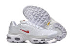 Nike Air max Tn