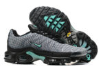 Nike Air max Tn