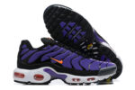 Nike Air max Tn