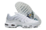 Nike Air max Tn