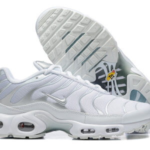 Nike Air max Tn