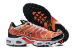 Nike Air max Tn