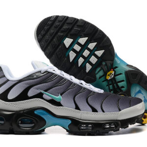 Nike Air max Tn