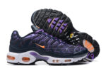 Nike Air max Tn
