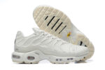 Nike Air max Tn