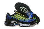 Nike Air max Tn