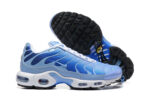 Nike Air max Tn