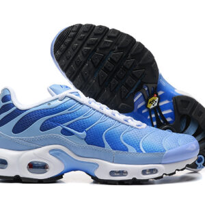 Nike Air max Tn