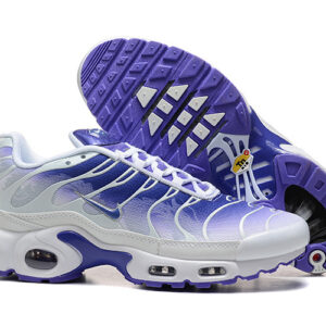 Nike Air max Tn