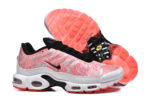Nike Air max Tn