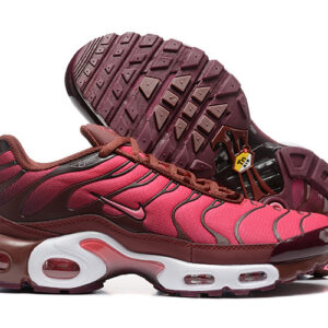 Nike Air max Tn