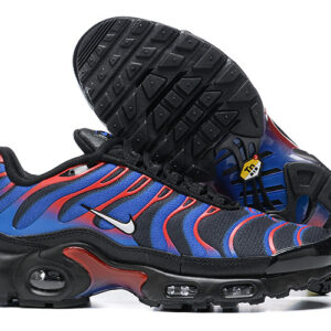 Nike Air max Tn