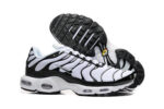Nike Air max Tn
