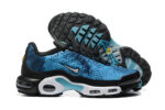 Nike Air max Tn