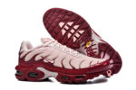 Nike Air max Tn