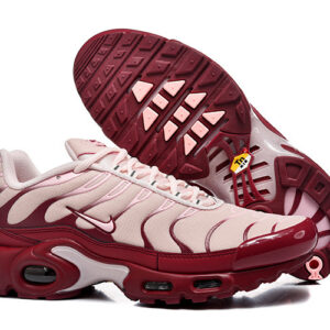 Nike Air max Tn