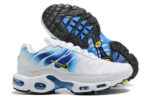Nike Air max Tn