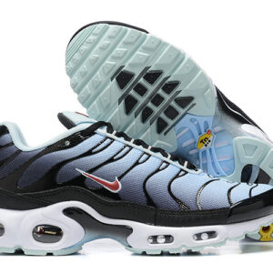 Nike Air max Tn