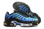 Nike Air max Tn