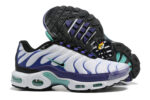 Nike Air max Tn