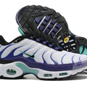 Nike Air max Tn