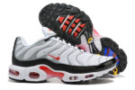 Nike Air max Tn