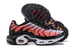 Nike Air max Tn