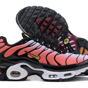 Nike Air max Tn