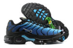 Nike Air max Tn