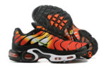 Nike Air max Tn