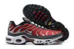 Nike Air max Tn