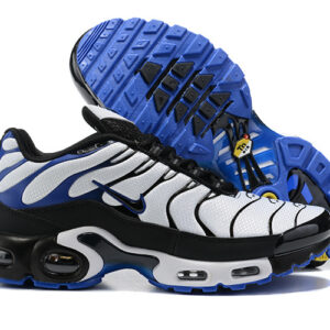 Nike Air max Tn