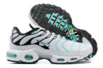 Nike Air max Tn