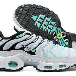 Nike Air max Tn