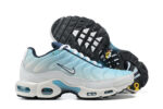 Nike Air max Tn