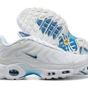 Nike Air max Tn