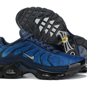 Nike Air max Tn