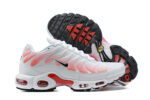 Nike Air max Tn