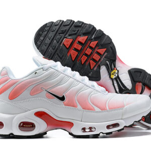 Nike Air max Tn